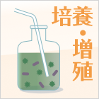 雑菌繁殖